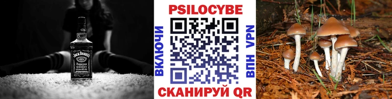 Псилоцибиновые грибы MAGIC MUSHROOMS  дарнет шоп  Нововоронеж 